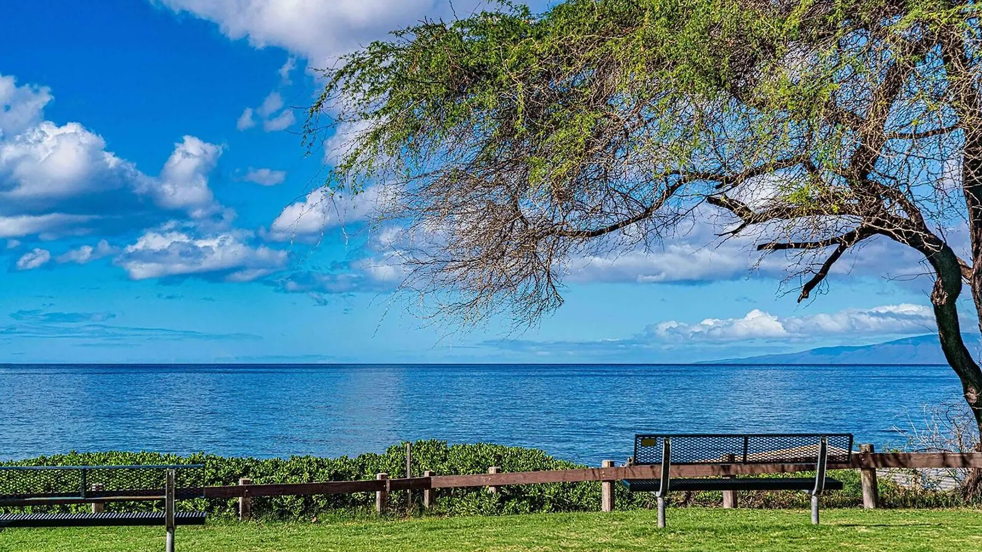 Kamaole Sands 2-204 Wailea  Holiday home Wailea (Maui)